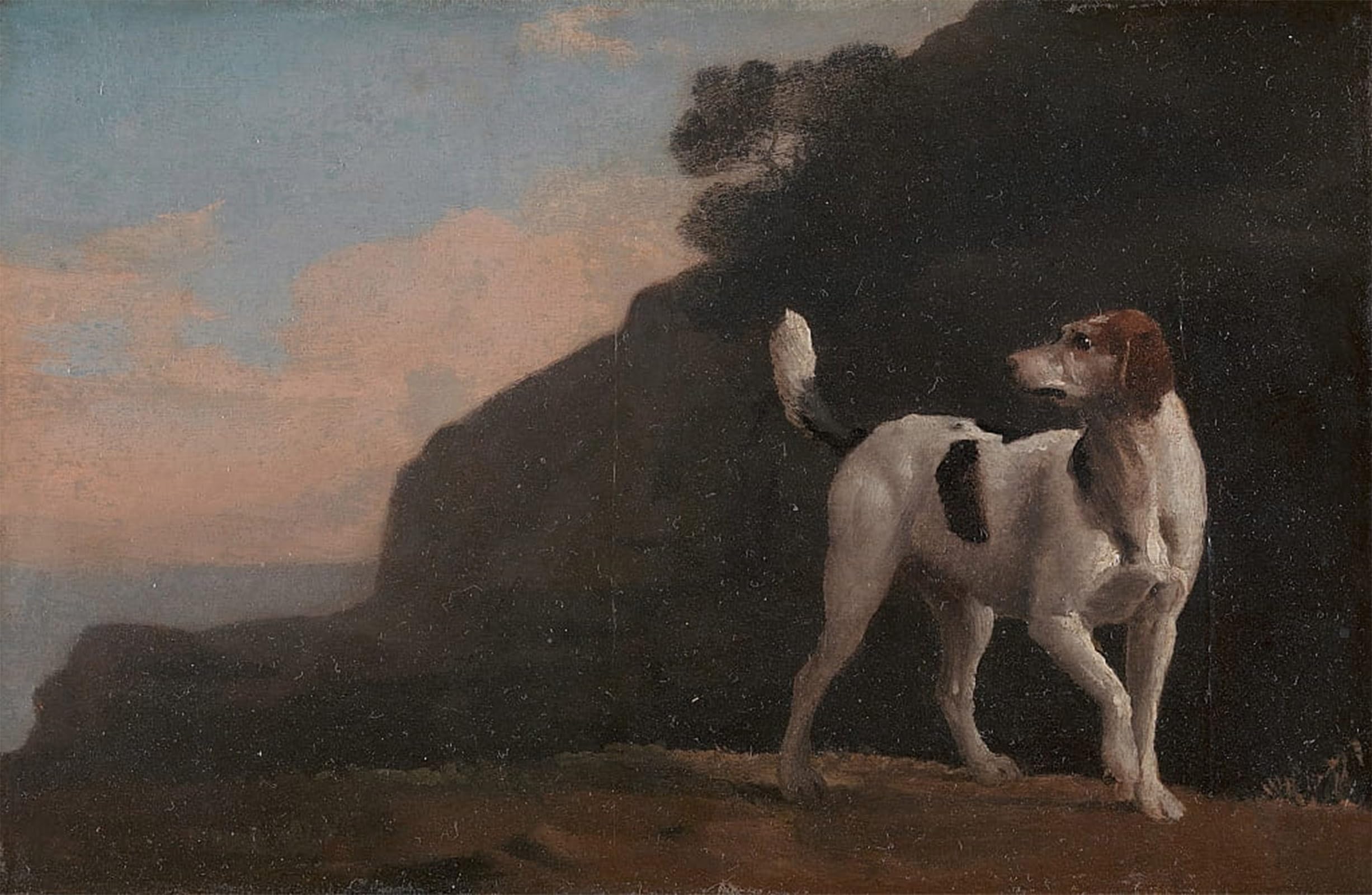 ARTXLXXBN Famous Print Painting Colorful Art Print Foxhound,a Foxhound by George Stubbs Canvas Art Decorations for Home Decor 60x90cm