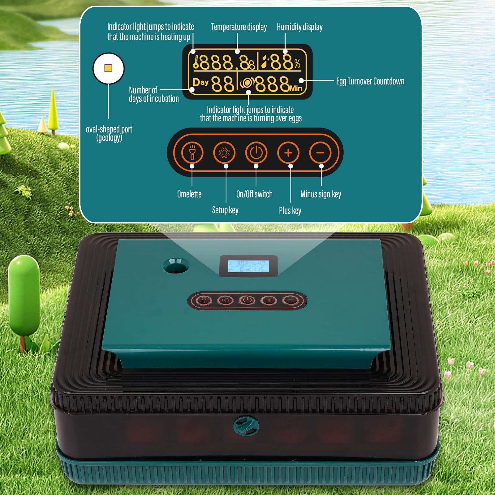 Incubadora AutomáTica de 25 Huevos con Volteo AutomáTico, Pantalla LED MultifuncióN y Control de Temperatura y Humedad Para Pollos, Patos y Ocas