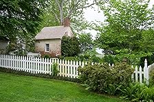 Review Image by allenmf allenmf