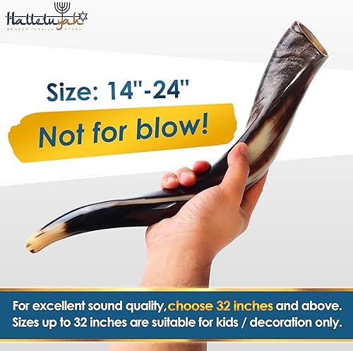 Miniatura 2 de HalleluYAH Yemenita kudu Shofar de Israel Plus Bono gratis Ram Horn