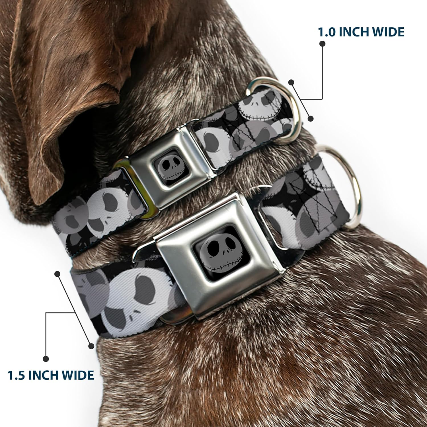 Buckle-Down Dog Collar Seatbelt Buckle Nightmare Before Christmas Jack Expression Stack Black Grays, Multicolor, 1.5"" Wide - fits 18-32"" Neck - Large (DC-WDY347-WL)