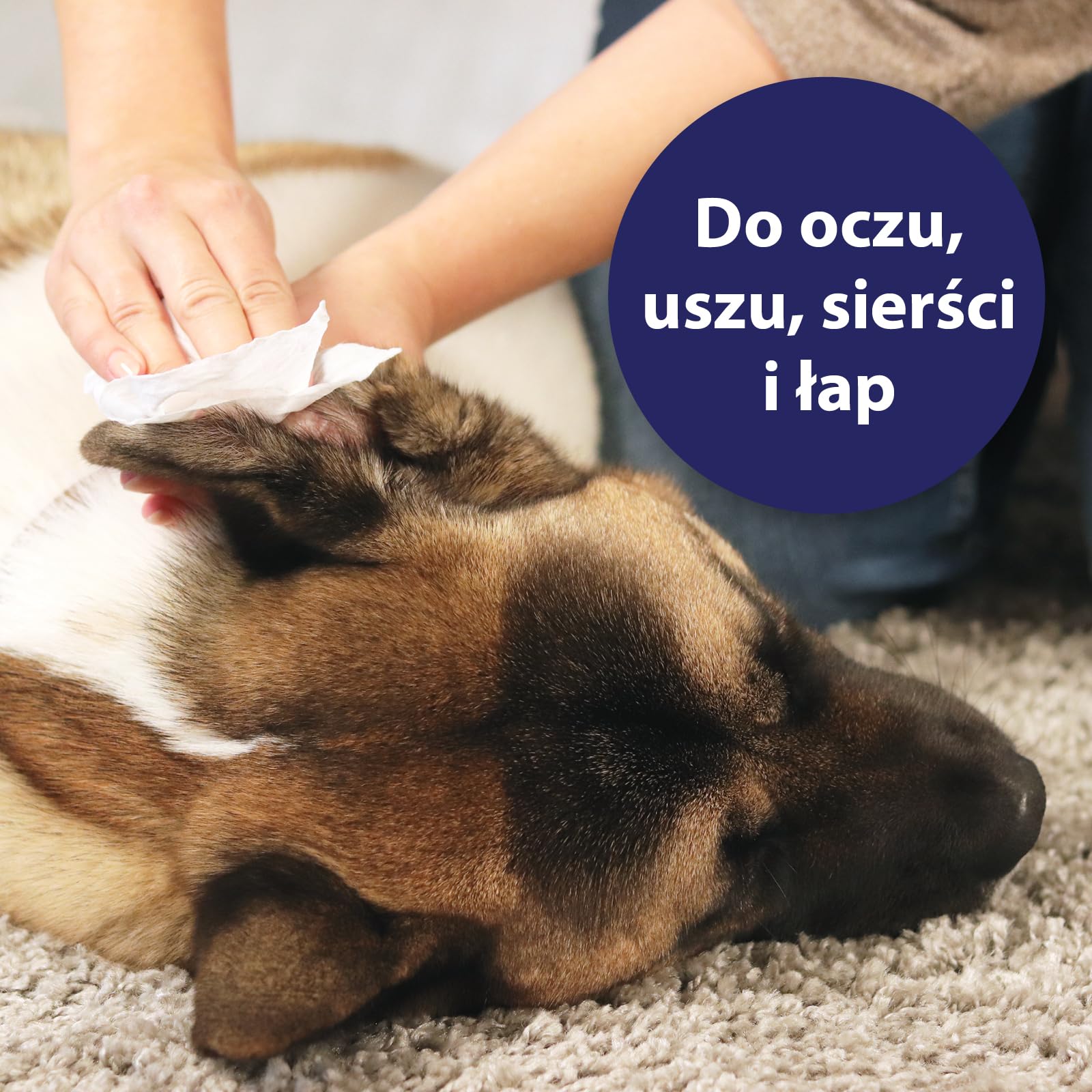 Canosept Uniwersalne Chusteczki Pielęgnacyjne Dla Psów 160 Sztuk - Pielęgnacja I Czyszczenie Uszu U Psa, Ochrona I Pielęgnacja łap Psa, Pielęgnacja Oczu - Pielęgnacja Psa Z Aloe Vera
