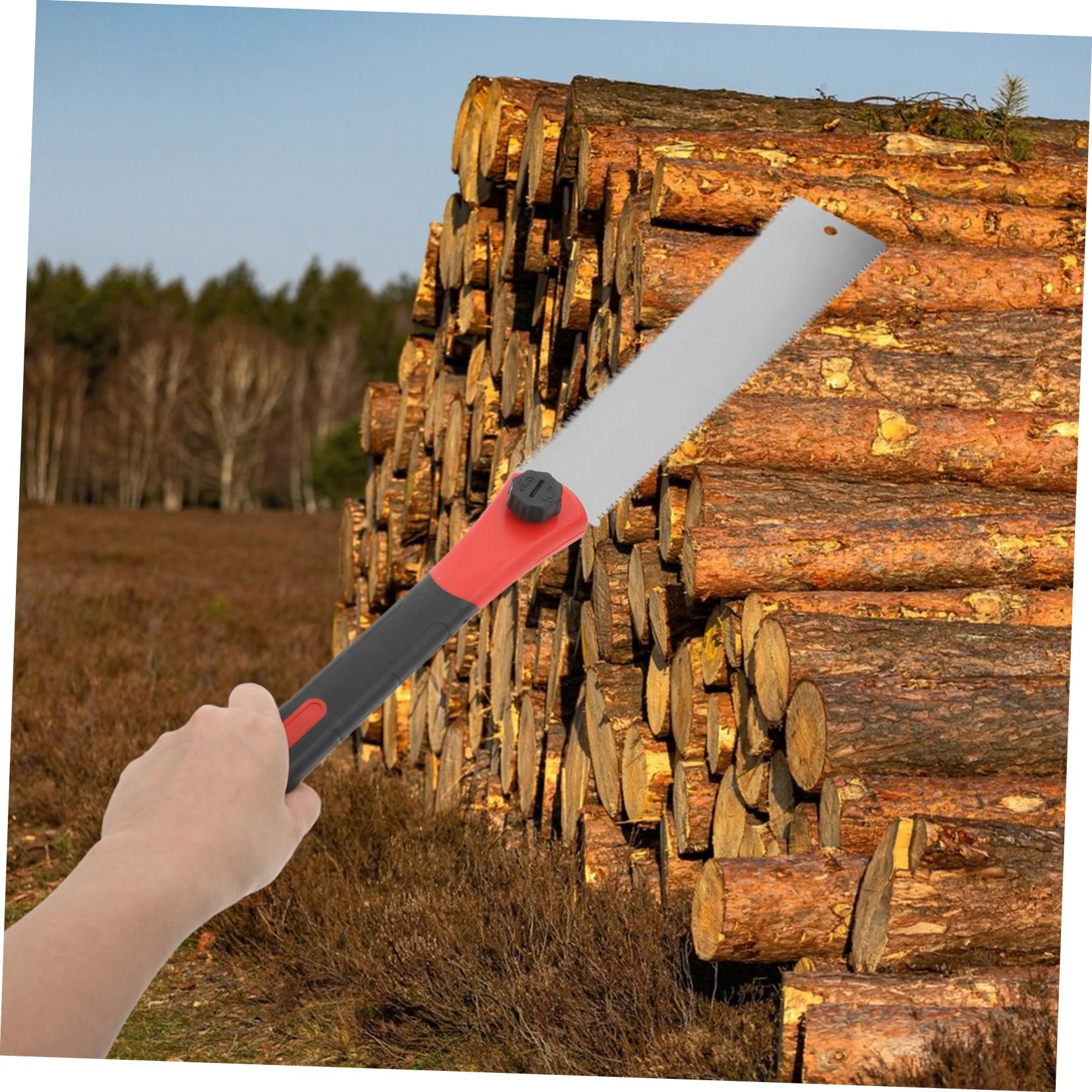 Seghetto a Doppia Lama per Legno, Denti Fini, 2 Lati | Sk5 e Pp, Taglio di Precisione, Uso Versatile in Falegnameria, Formato Mini per Lavori Artigianali