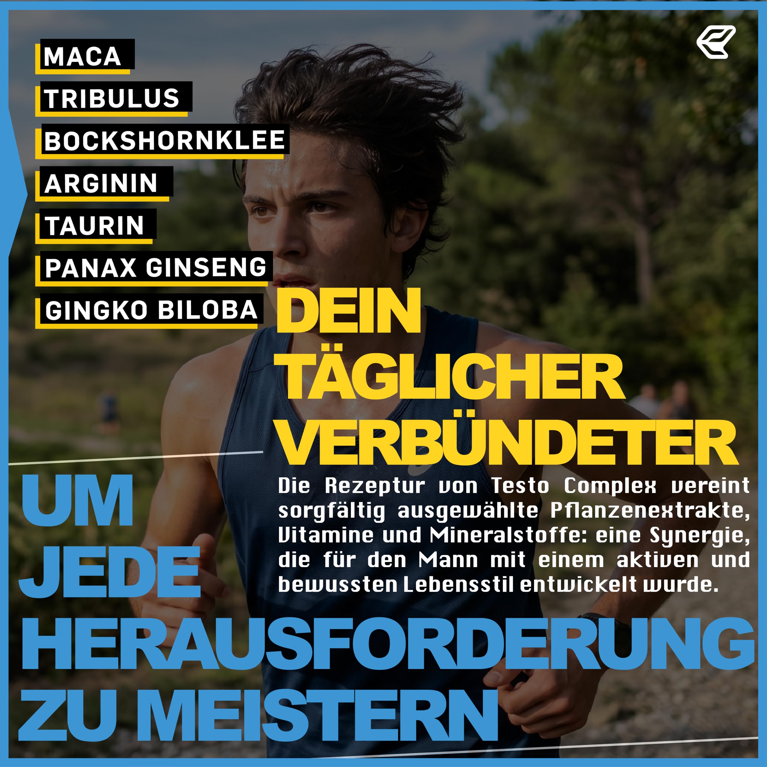 Italian Elite - Testo Complex 240 Kapseln mit Maca 8000 mg. Nahrungsergänzungsmittel mit Tribulus, Bockshornklee, Zink, Arginin, Ashwagandha, Vitaminen und Mineralstoffen
