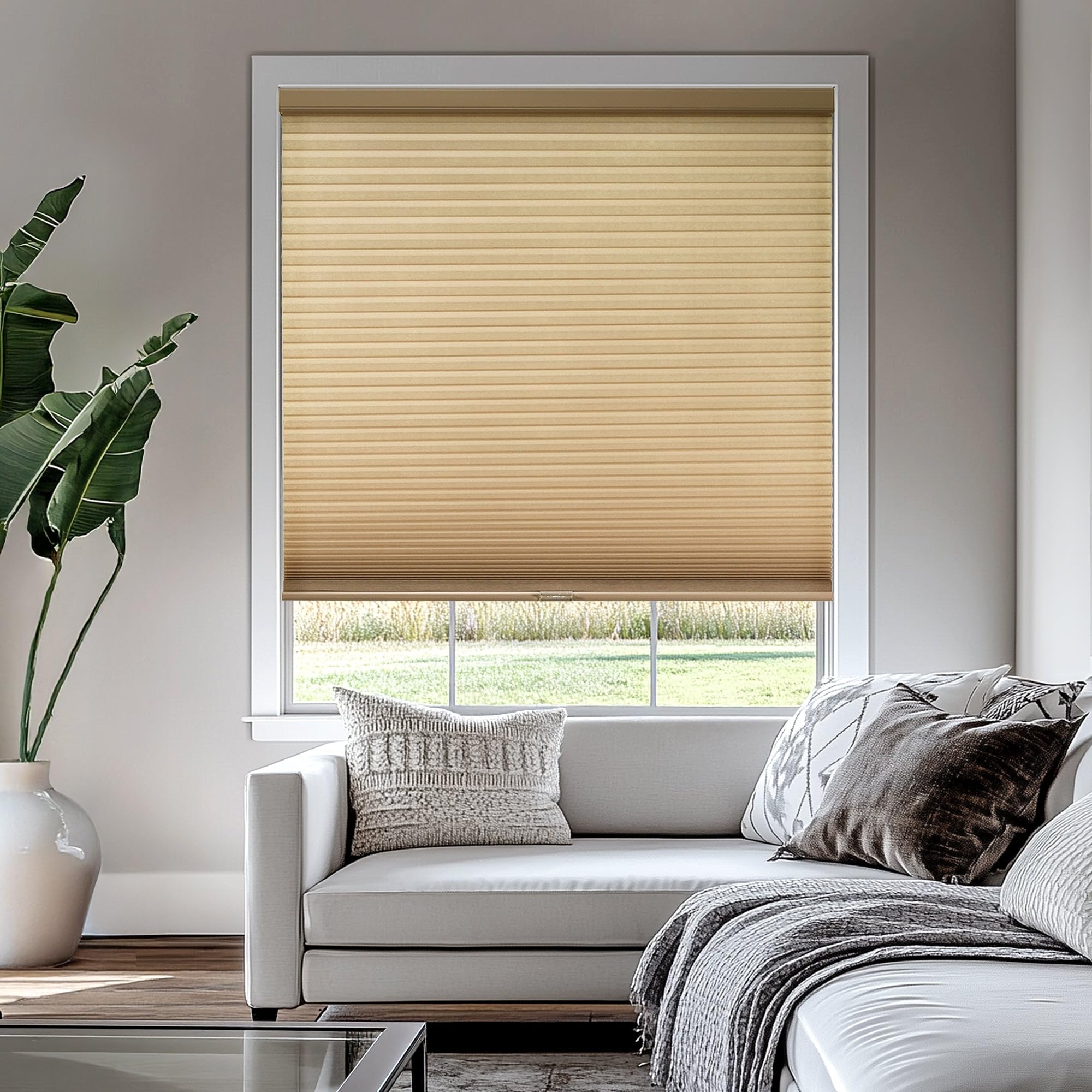 CHICOLOGY Cellular Shades – Cordless Honeycomb Blinds, Blackout or Light Filtering Window Shades for Home, Bedroom, Living Room, Kitchen, Office &