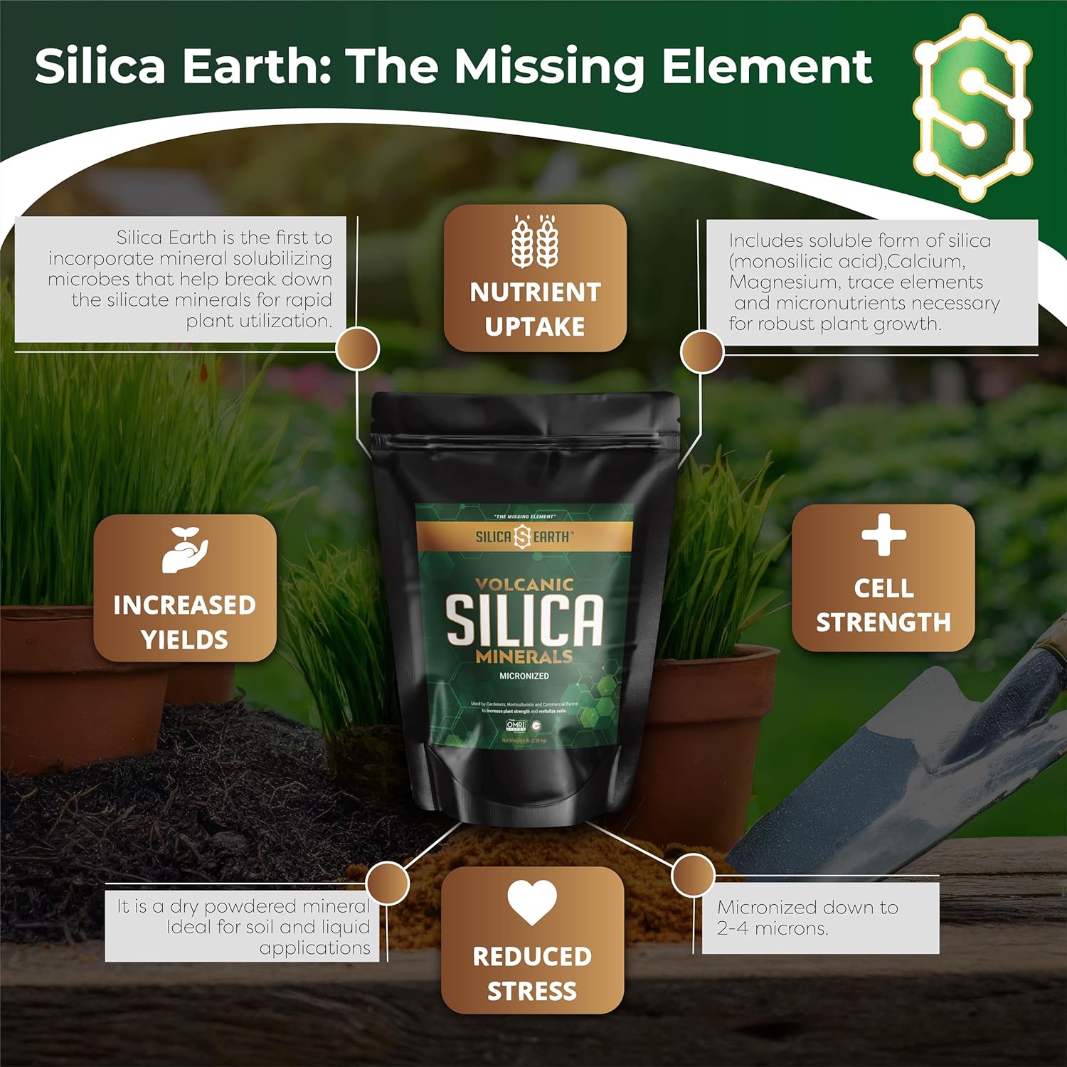 Volcanic Silica Minerals Micronized - 5 lbs