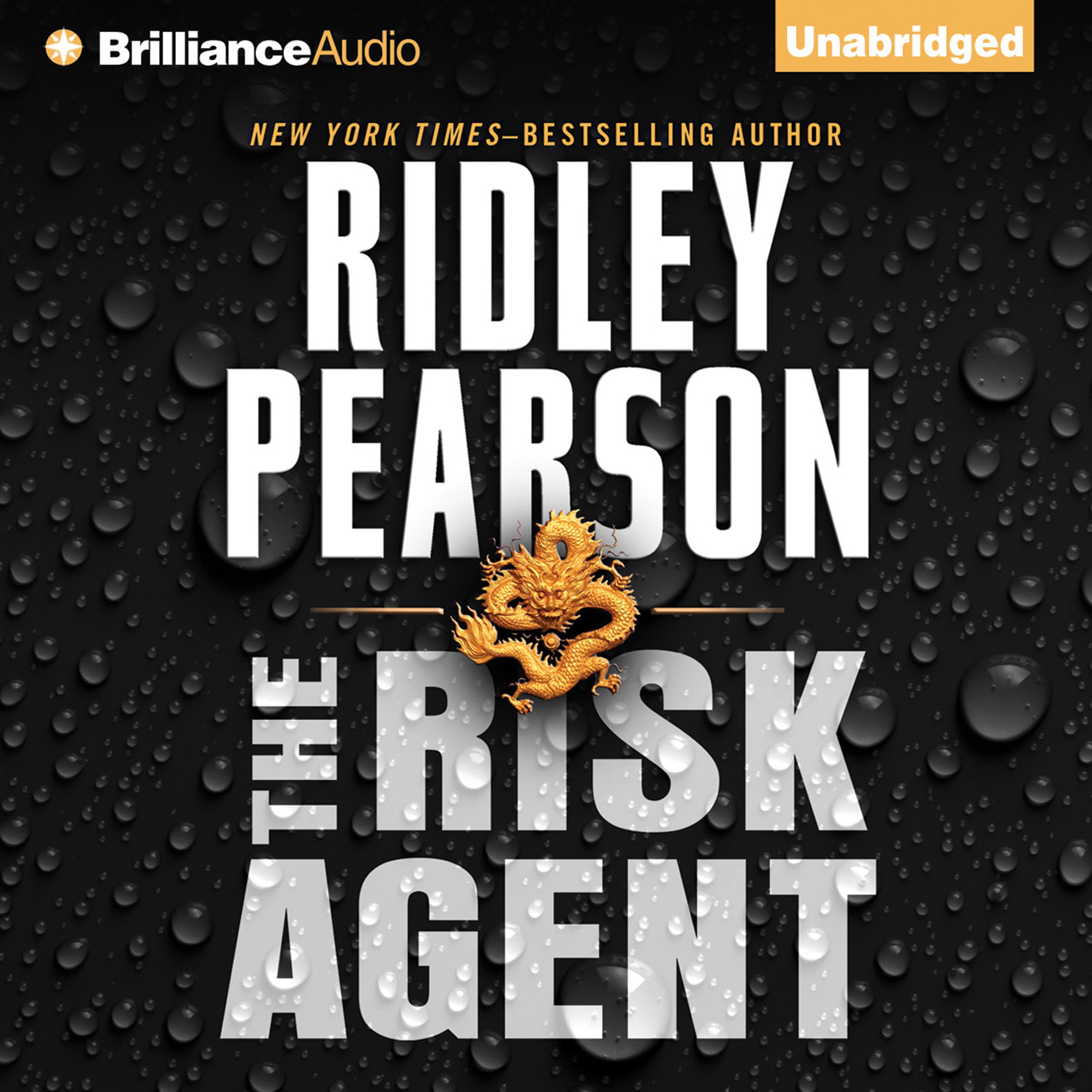 Cover art for The Risk Agent