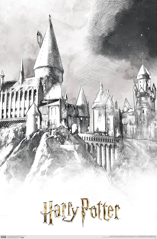 希少❇️人気 ハリー・ポッター HOGWARTS CASTLE ポスター 美品 Amazon.com: ABYSTYLE - Harry Potter Hogwarts Castle Film
