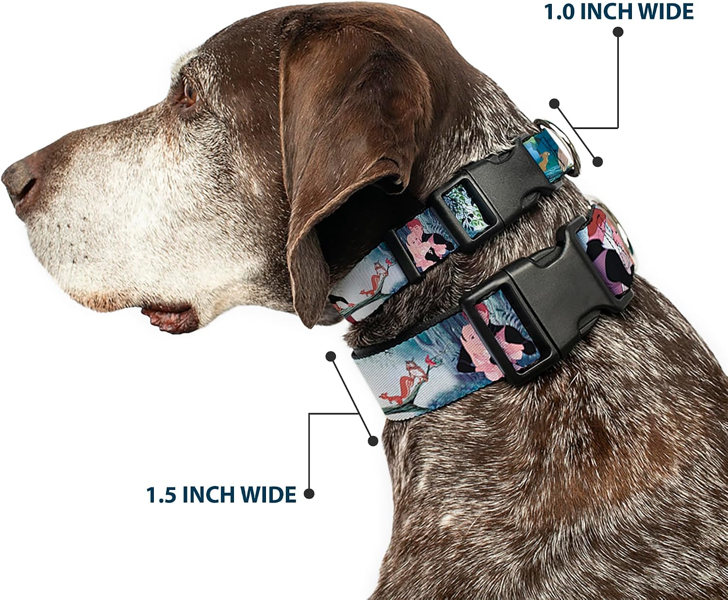 Buckle-Down Plastic Clip Collar - Sleeping Beauty Woods Scenes - 1.5" Wide - Fits 18-32" Neck - Large