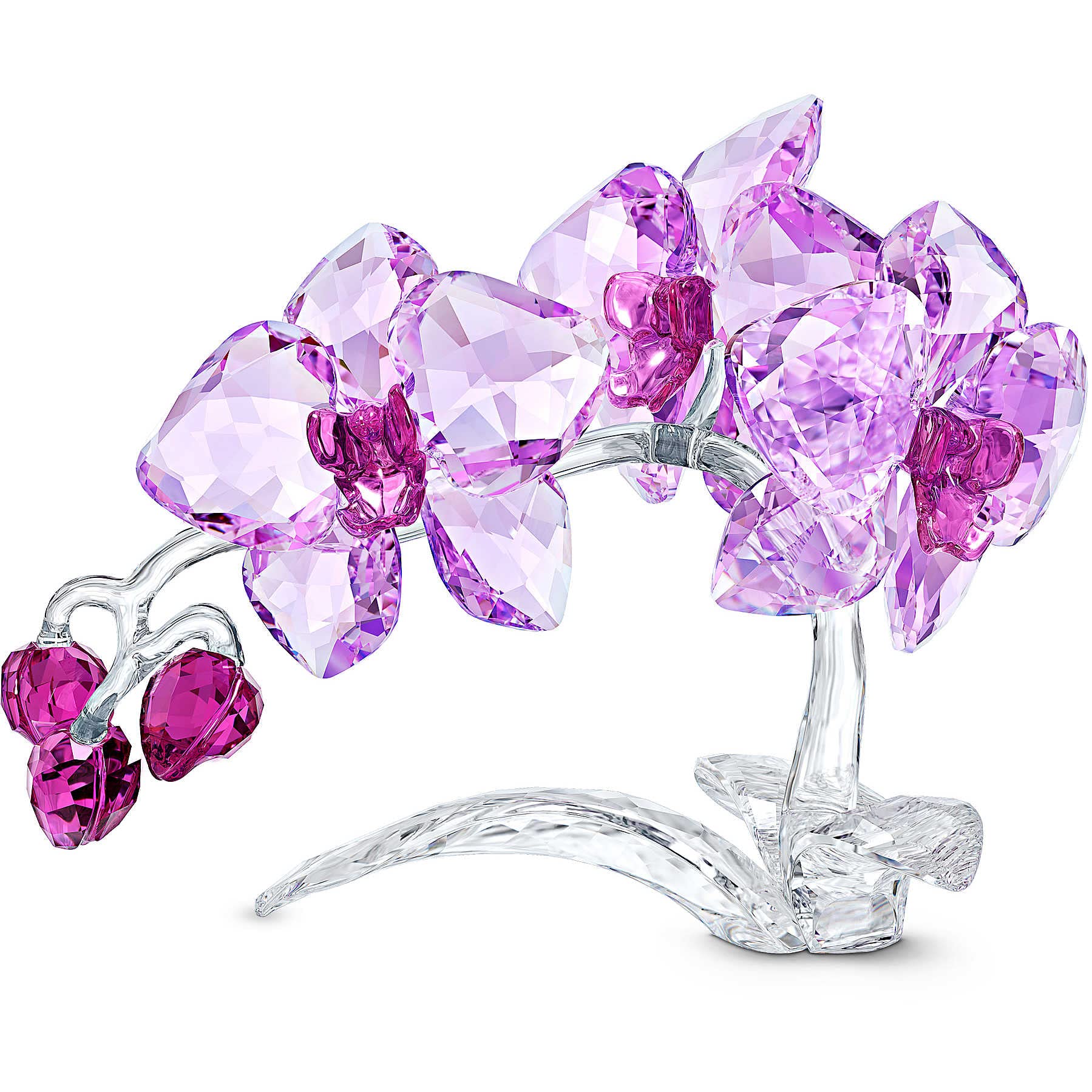 Swarovski Statuina orchidea con cristalli, trasparente, 10 x 14 x 7 cm
