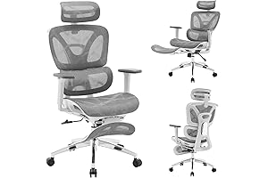 Ergonomic Office Chair With Footrest