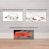 Raid 6 Odorless & Practical Cockroach Food (1 x 6 Pieces)