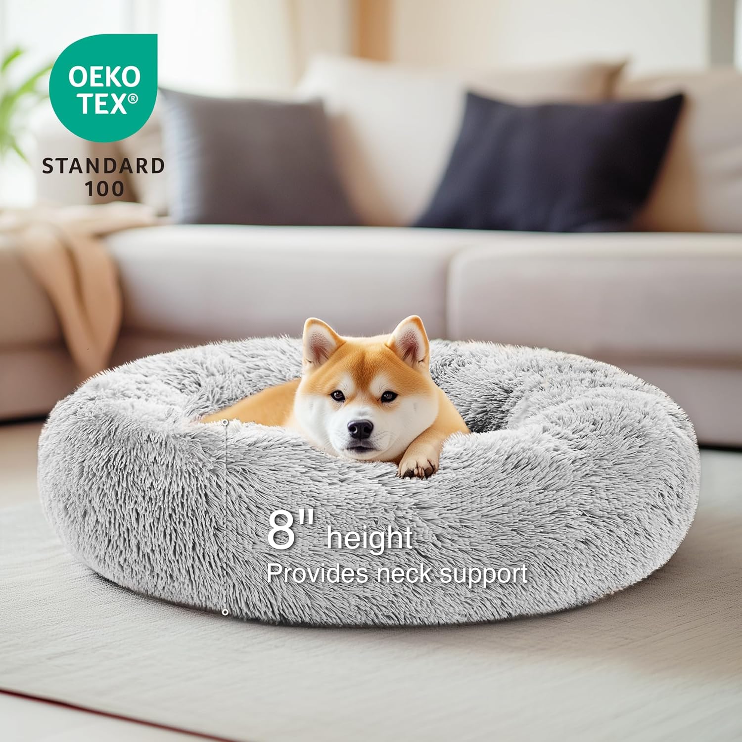 https://m.media-amazon.com/images/I/819gtO4wbxL._AC_SL1500_.jpg