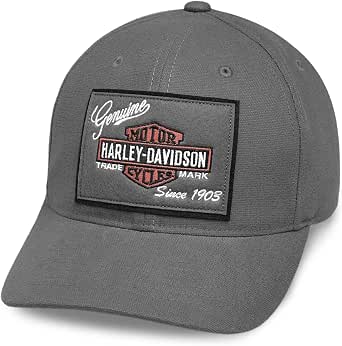 Harley-Davidson Official Men's Embroidered Logo 39THIRTY Cap, Grey