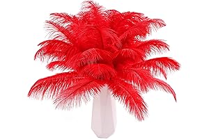 Eye-Catching 24pcs THARAHT Red Ostrich Feathers