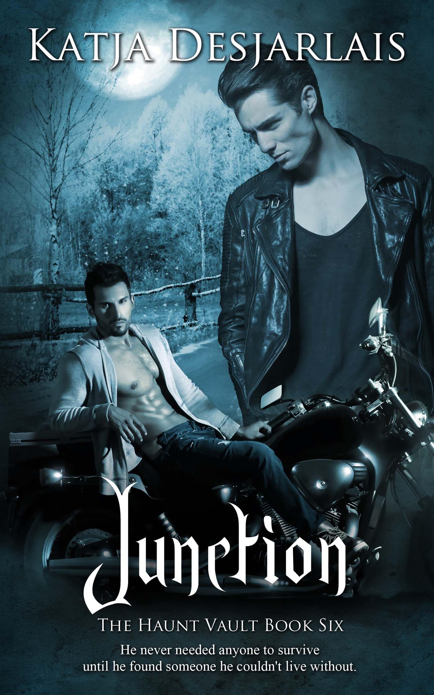 Cover of Junction