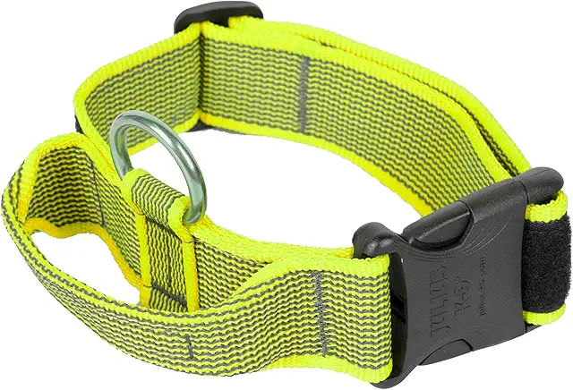 Julius-K9 Martingale Halsband mit Haltegriff, neon-grau, 40 mm, verstellbar 38-53 cm