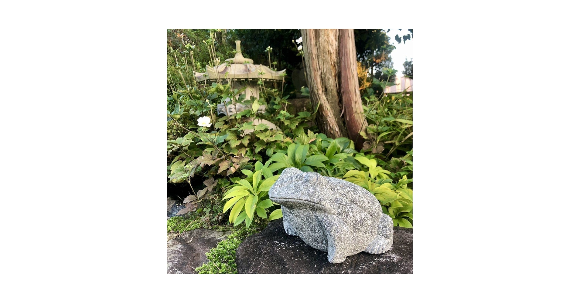 Amazon.co.jp: カエル 蛙 石蛙 無事かえる 御影石 石像 石造