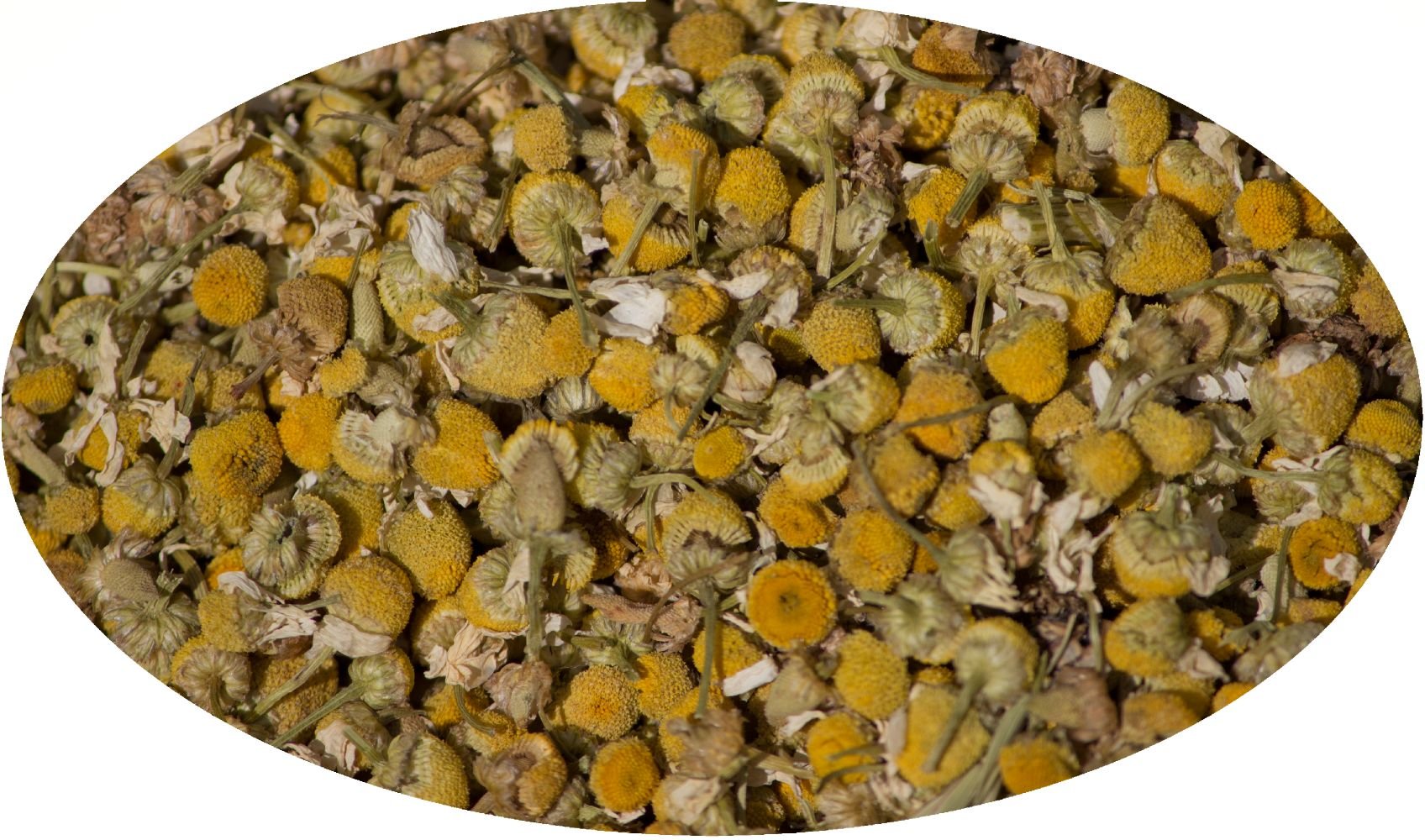 Eder Gewürze - Bio - Fleurs de camomille - 1kg