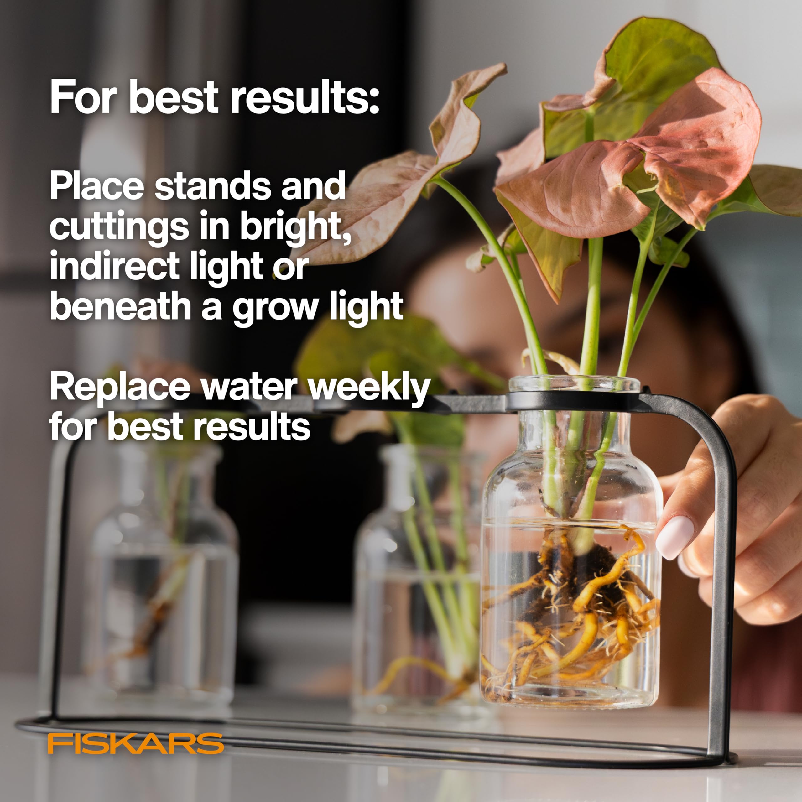 Fiskars Station de Propagation de Plantes - Support de Propagation en Verre Multi-cannelures avec Base en métal, idéal pour enraciner Plusieurs boutures de Plantes et décoration hydroponique
