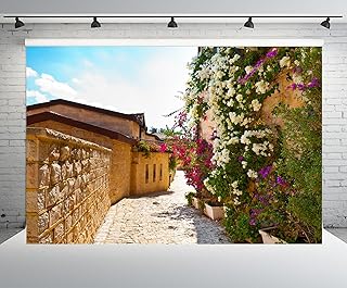 CHNYWORK 7ftx5ft Jerusalem Old Narrow Street Backdrop Spring Flowers Street Sunshine Ancient Houses Stone Path Background for Wedding Travel Party Decor Kids Adults Photo Props