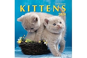Kittens 2024 Wall Calendar: The Purrfect Calendar for Cat Lovers