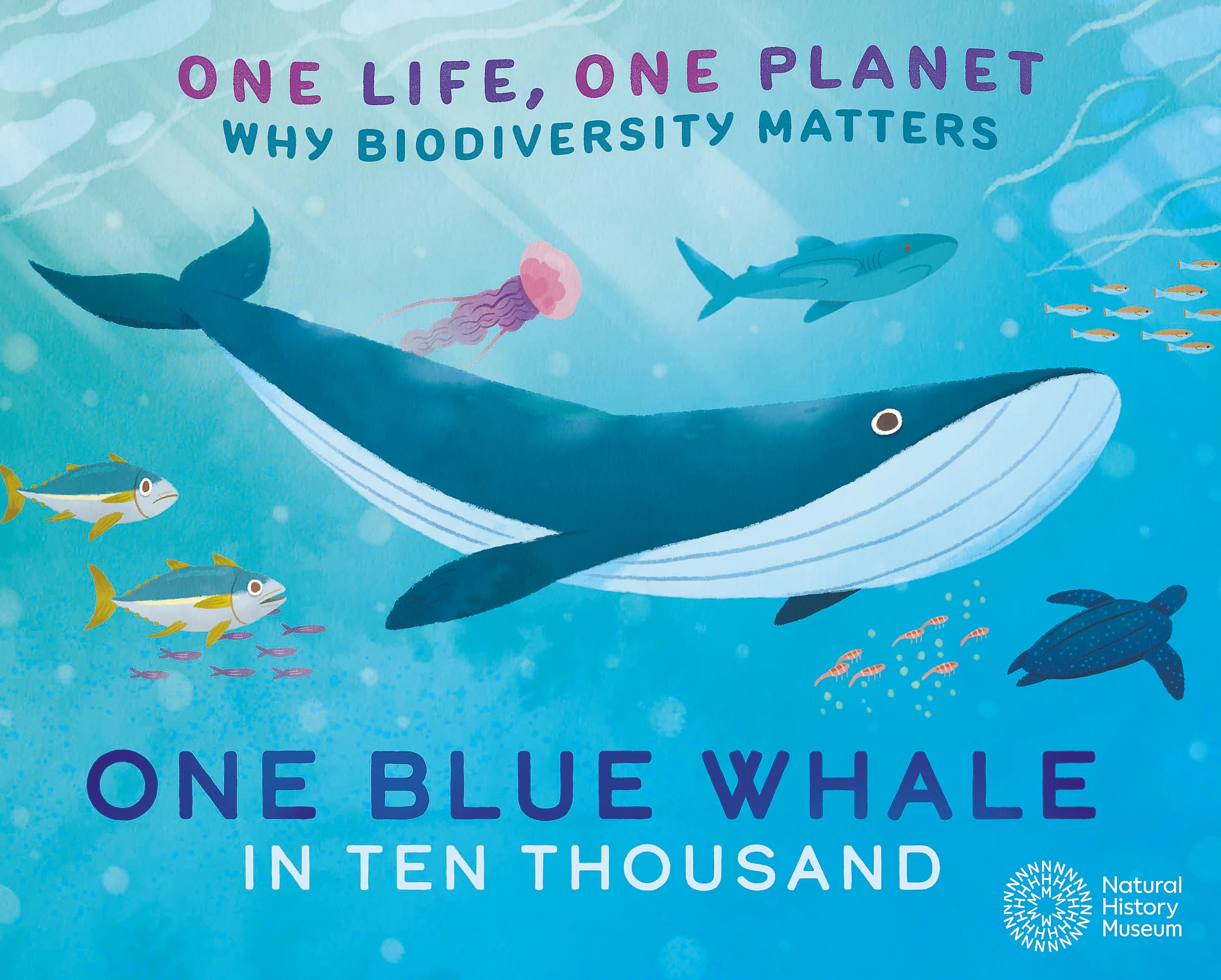 One Blue Whale in Ten Thousand: Why Biodiversity Matters (One Life, One Planet)