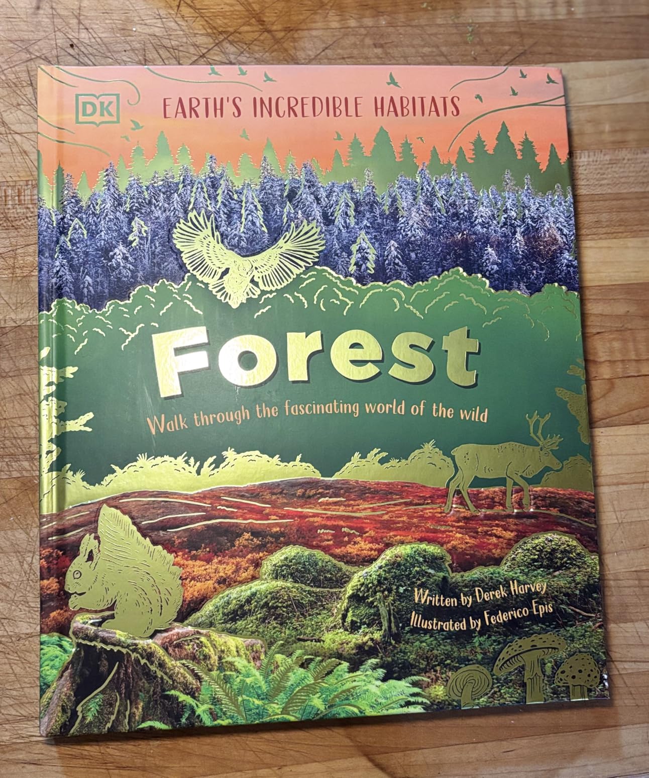Fascinating World Amazon | Forest: Walk Through the Fascinating World of the Wild (Earth ...