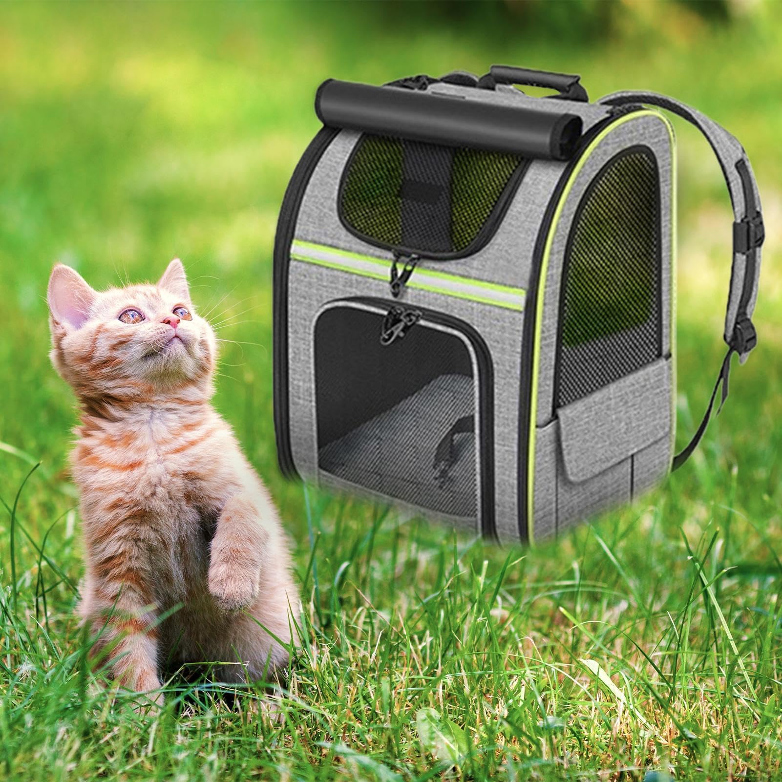 Transportín para Mascotas En Mochila Transportín para Viajes con Gatos | Bolsa Transporte Mascotas Plegable Aireada Para Viaje Camping Senderismo Moto