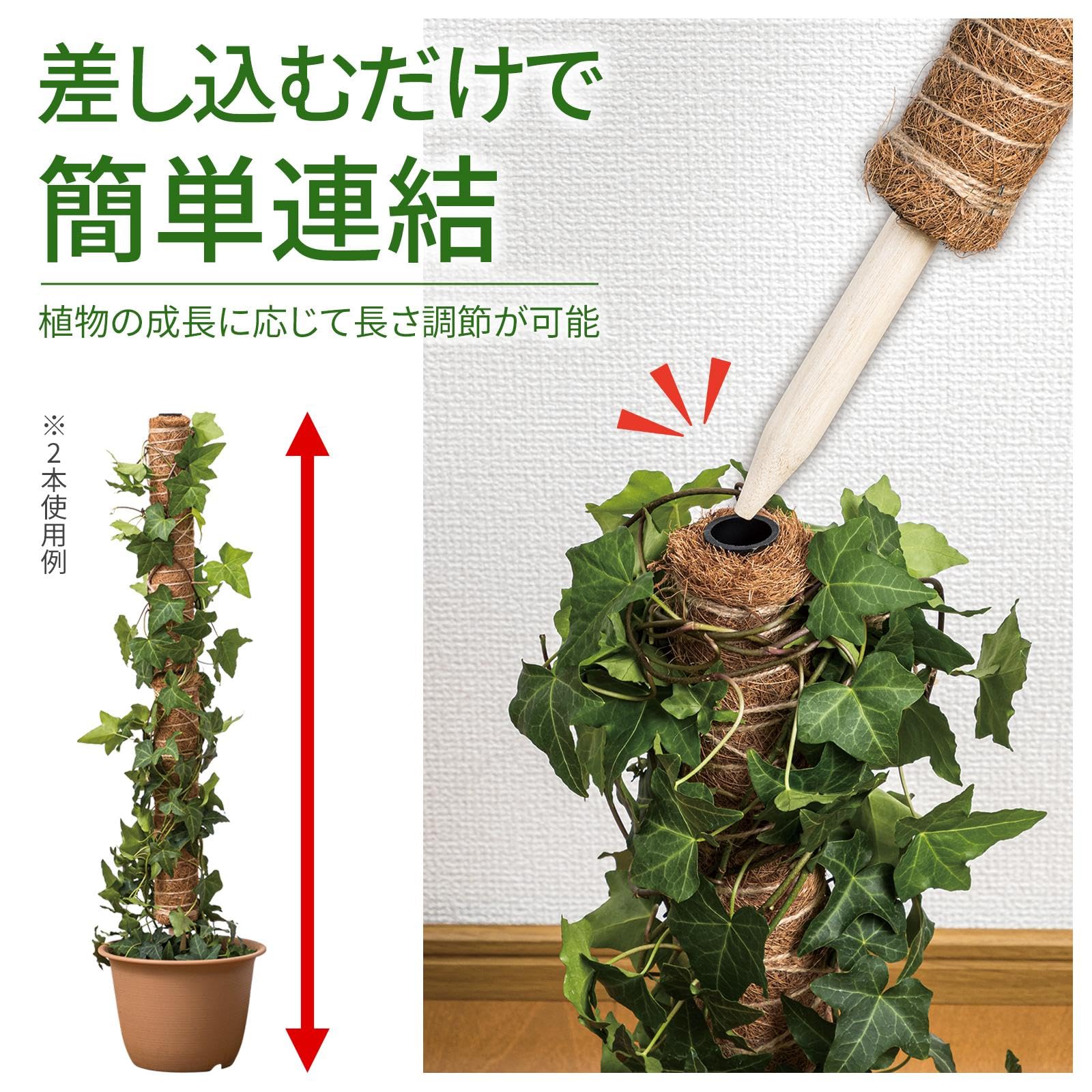 Amazon | コモライフ 観葉植物の支柱 2本組 (1本約4.5×40cm) 観葉植物