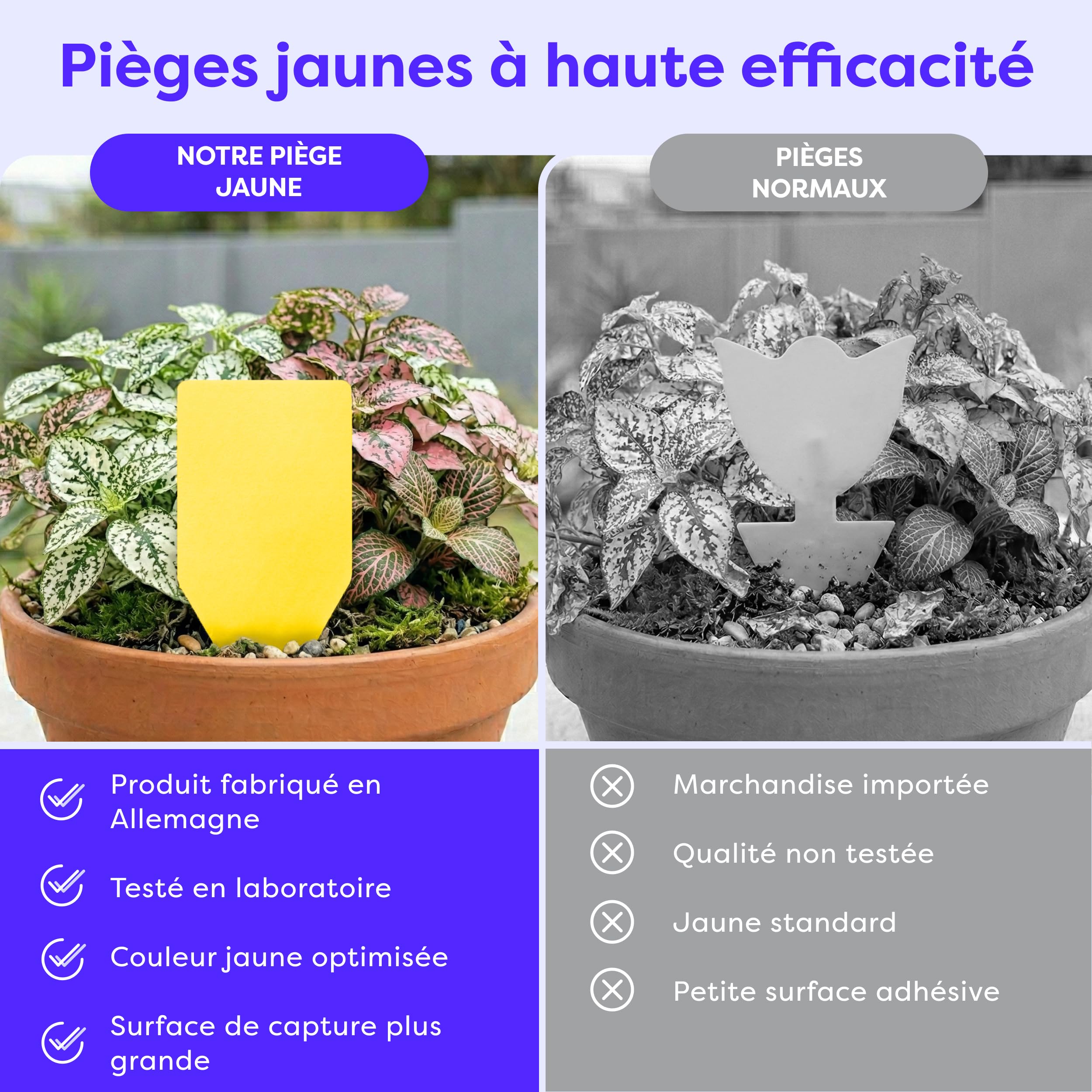 Wolkenfeld Piège à Moucherons Plantes 30 Pièces Stickers Jaunes – Anti Moucherons Interieur, Attrape Moucheron Adhésif Double Face, sans Insecticide – Plantes d’Intérieur & Serre – Made in Germany