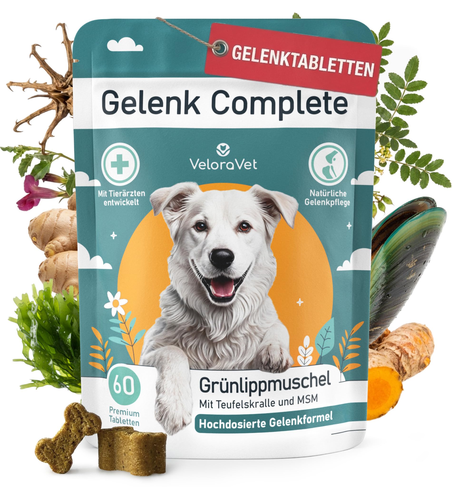 Grünlippmuschel Gelenktabletten Hund – HOCHDOSIERT mit Grünlippmuschelpulver, MSM, Teufelskralle, Glucosamin & Kollagen – Keine Kapseln, hohe Akzeptanz – Gelenk- & Knochenschutz – 60 Stück