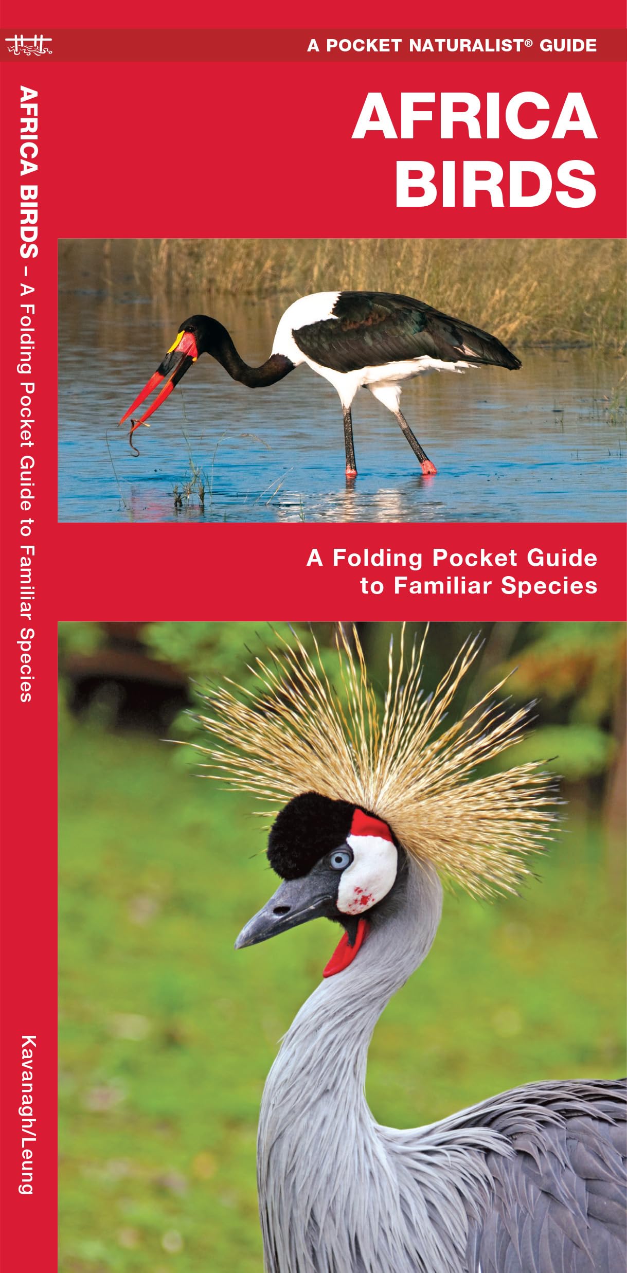 African Birds: A Folding Pocket Guide to Familiar Species (A Pocket Naturalist Guide) (Pocket Naturalist Guide Series)