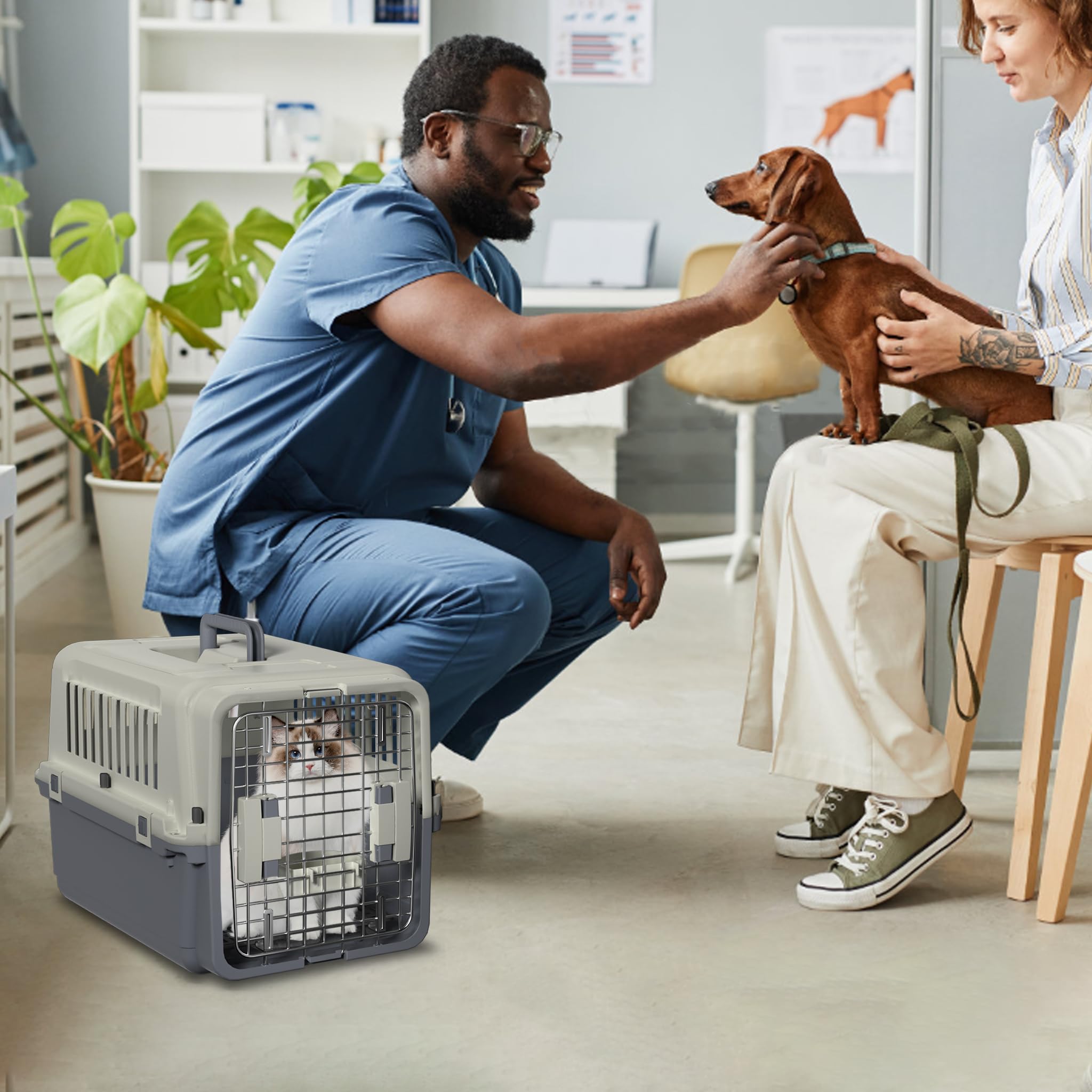 Boîte de transport en plastique pour chien et chat - 60 x 39,5 x 44 cm - Avec récipient de nourriture et séparateur d'urine - Boîte de transport pour animaux - Gris foncé