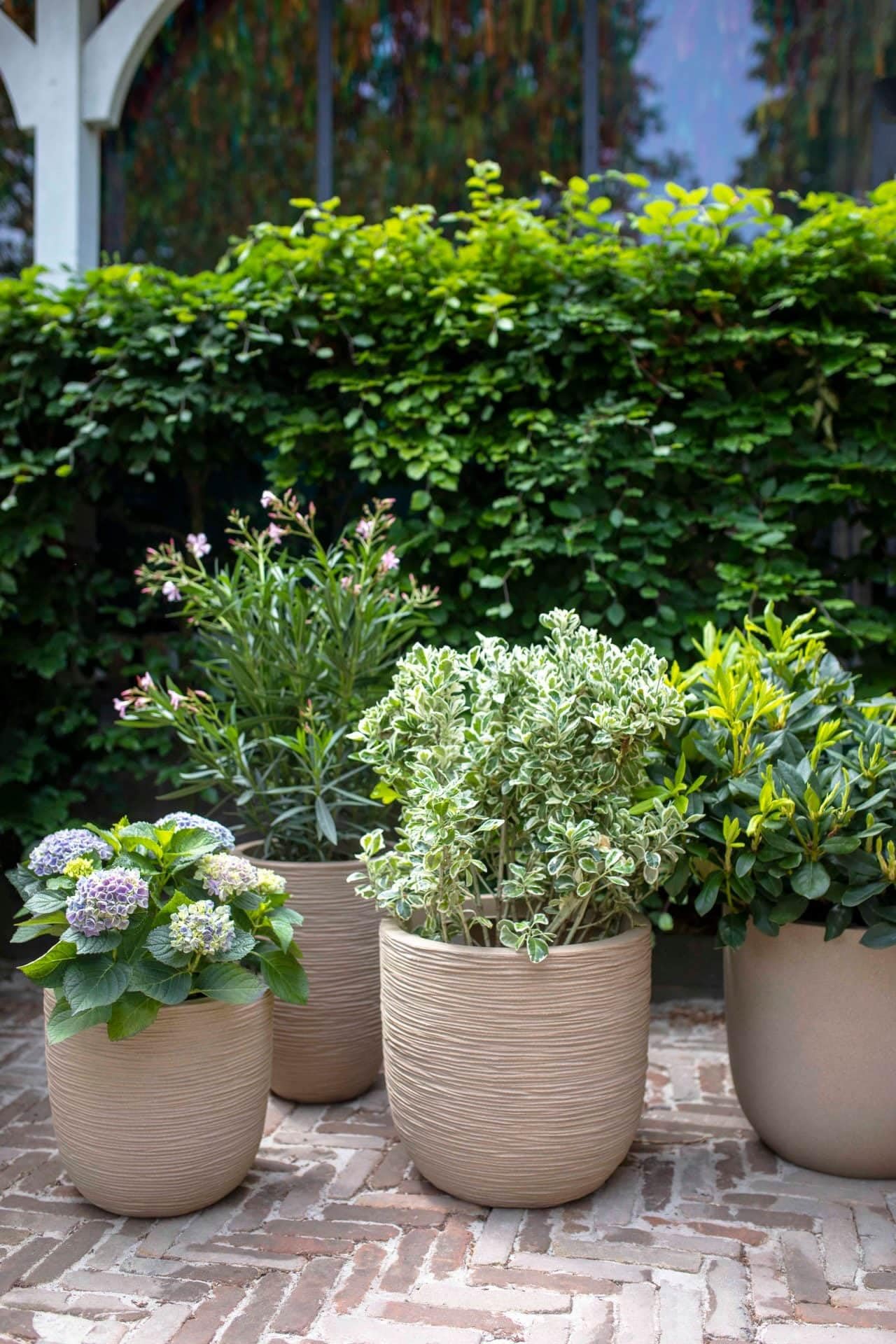 CAPI EUROPE Jardinière NATURE RIB - 43x41 cm - Anthracite