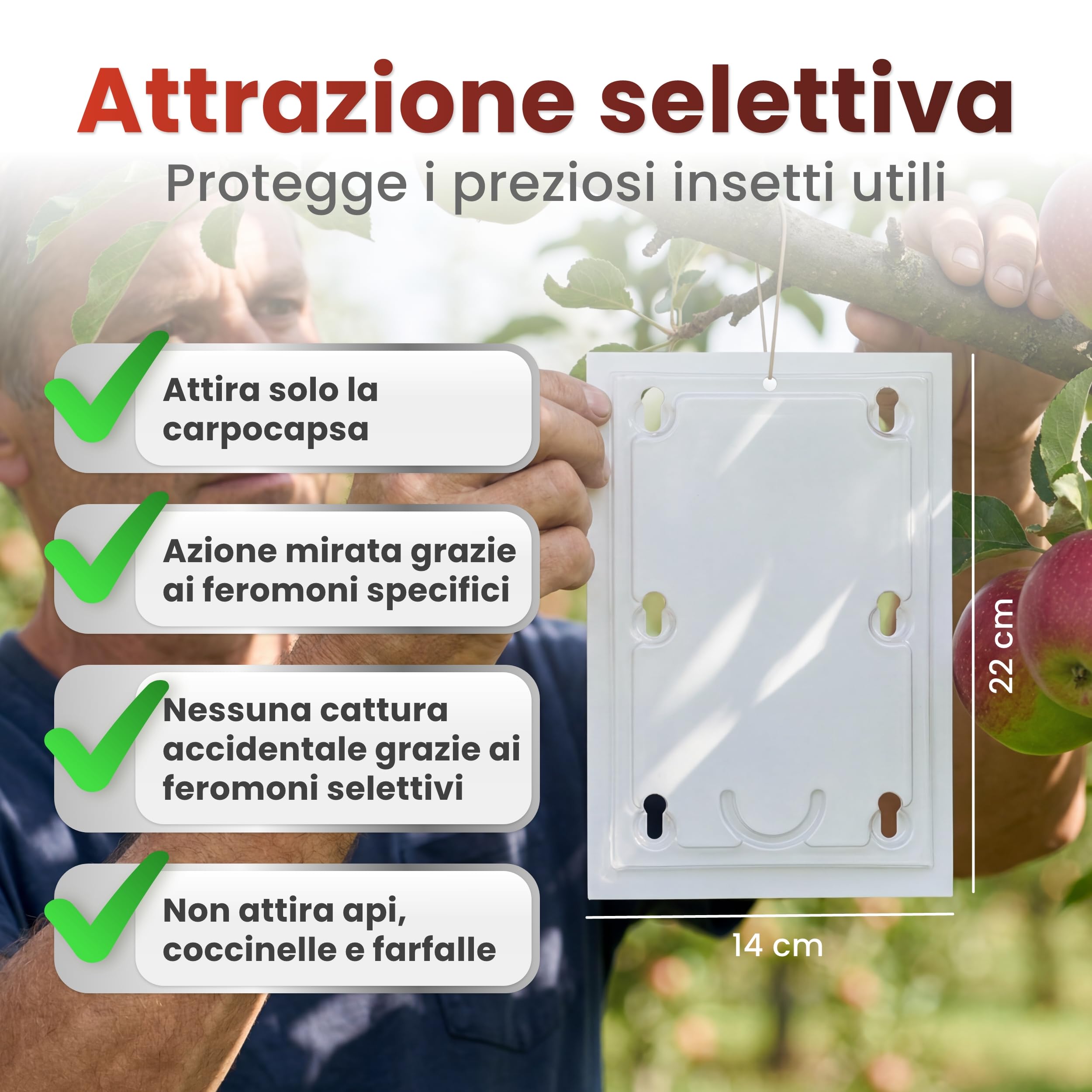 Trappola per feromoni per mele, set di 2 trappole per alberi da frutto, efficace trappola per avvolgere le prugne, protezione antitarme senza tossine per il melo, include attrattiva