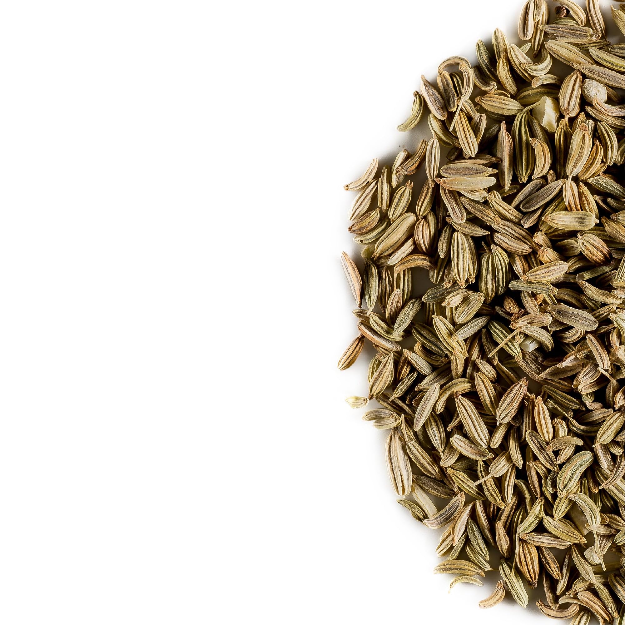 Fennel Seed Organic Herbal Delicacy - Culinairy Grade - Foeniculum Vulgare Seeds Fenkel 200g | chrupiące ziarna o słodkim anyżowym smaku do pieczywa i marynat warzywnych