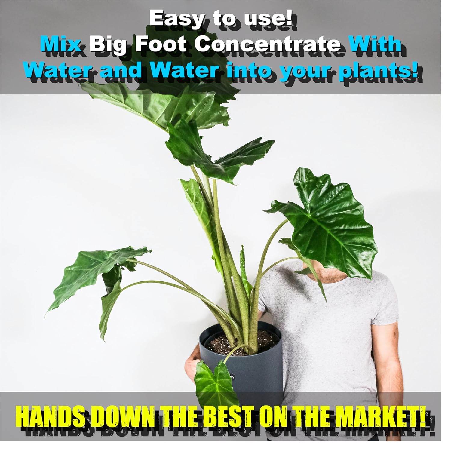 Big Foot Mycorrhizae for Plants, Potted Plants and Gardens - Concentrate Fully Dissolves in Water, Year Round Organic Fertilizer for Root Growth and Healthy Soil - 4 Ounces - Image 3