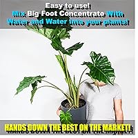 Vista 3 de Big Foot Mycorrhizae for Plants, Potted Plants and Gardens - Concentrate Fully Dissolves in Water, Year Round Organic Fertilizer for Root Growth and