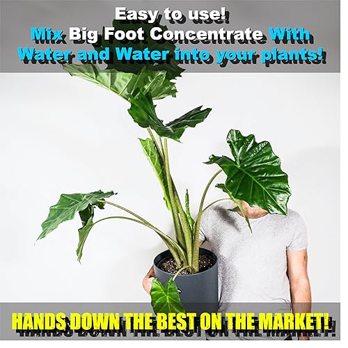Miniatura 3 de Big Foot Mycorrhizae for Plants, Potted Plants and Gardens - Concentrate Fully Dissolves in Water, Year Round Organic Fertilizer for Root Growth and
