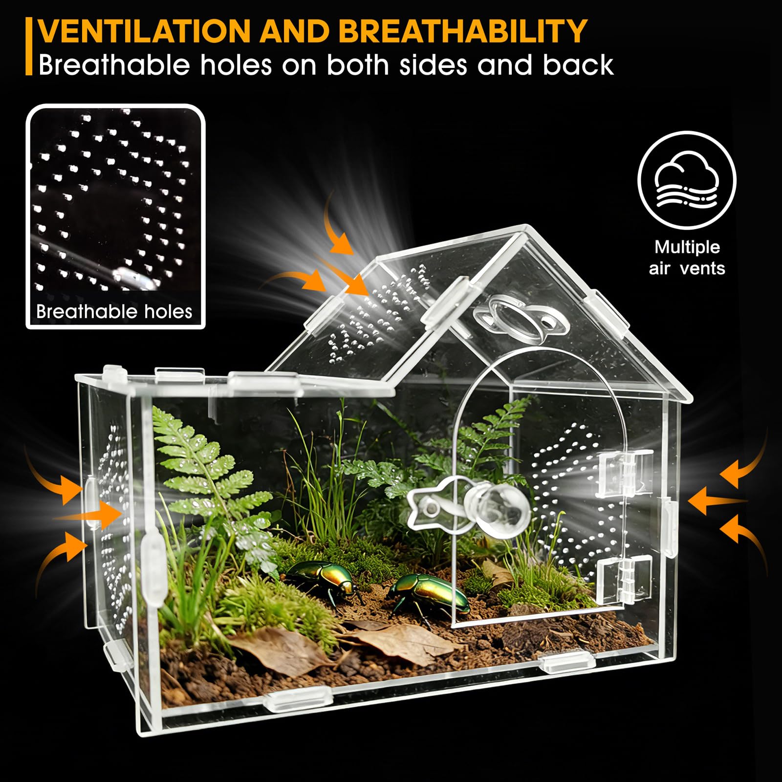 Enclos en acrylique pour araignée sauteuse avec fermeture magnétique - Boîte de terrarium transparente ventilée pour tarentules, geckos, mantes, bernards-ermites, escargots et autres petits - 4