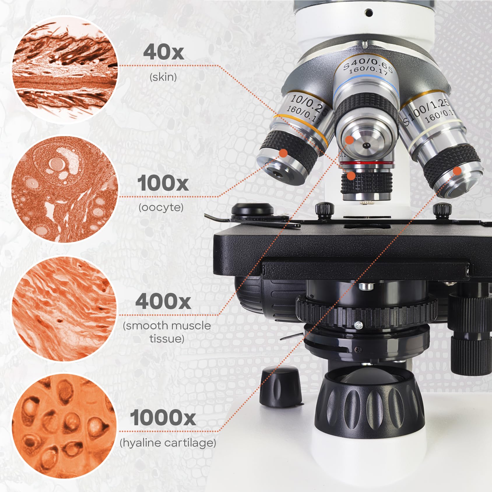 Discovery Atto Polar Microscopio Biologico Digitale, Portatile e In Metallo, Con Fotocamera Da 5 MP e Un Coloratissimo Libro In Inglese Compreso Nel Kit, Bianco