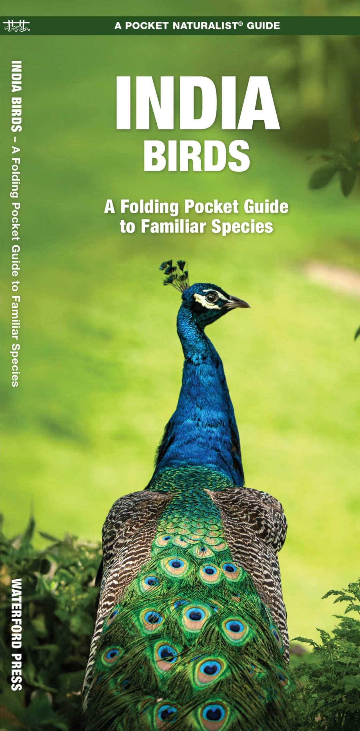 India Birds: A Folding Pocket Guide to Familiar Species (A Pocket Naturalist Guide) (Nature Observation International)