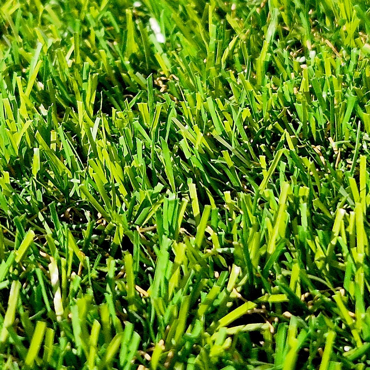 Gazon Synthétique 35mm : 2m de large x 6m de long soit 12M² RÉSISTANT & ULTRA DENSE ! LE GAZON ADAPTÉ À VOS BESOINS !