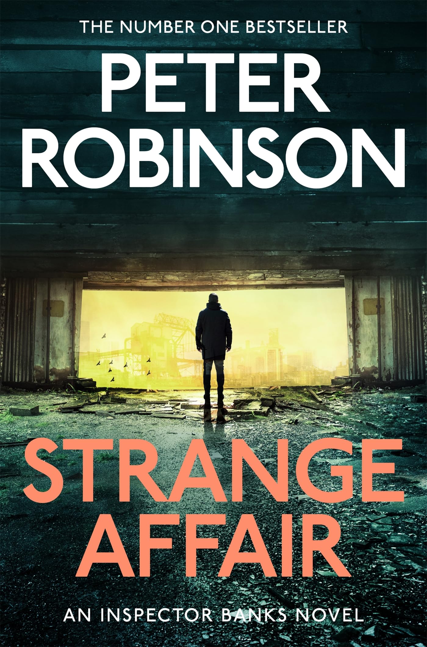 Strange Affair: A gripping instalment in the number one bestselling Inspector Alan Banks crime series (The Inspector Banks series, 15)