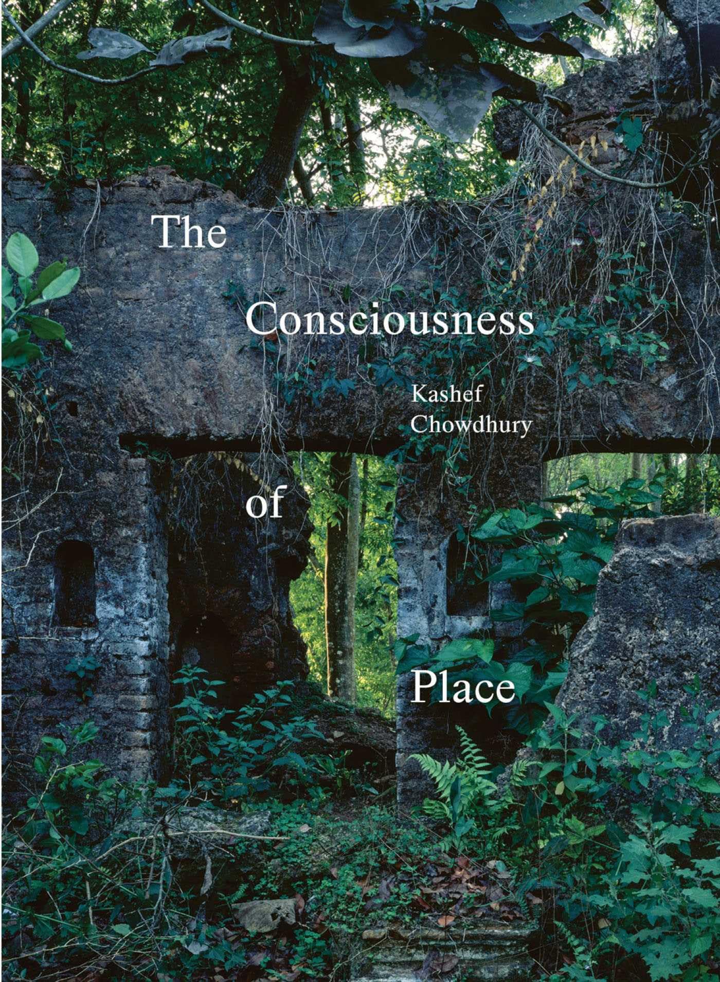 The Consciousness of Place Sublimer votre Salon avec un Beau Livre d'Inspiration