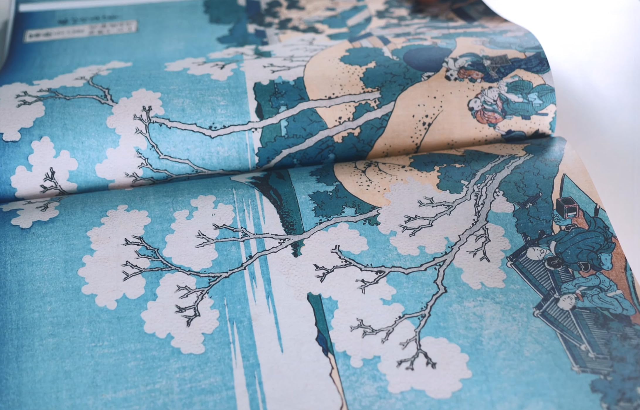 Hokusai. Le fou de dessin. Edition de luxe