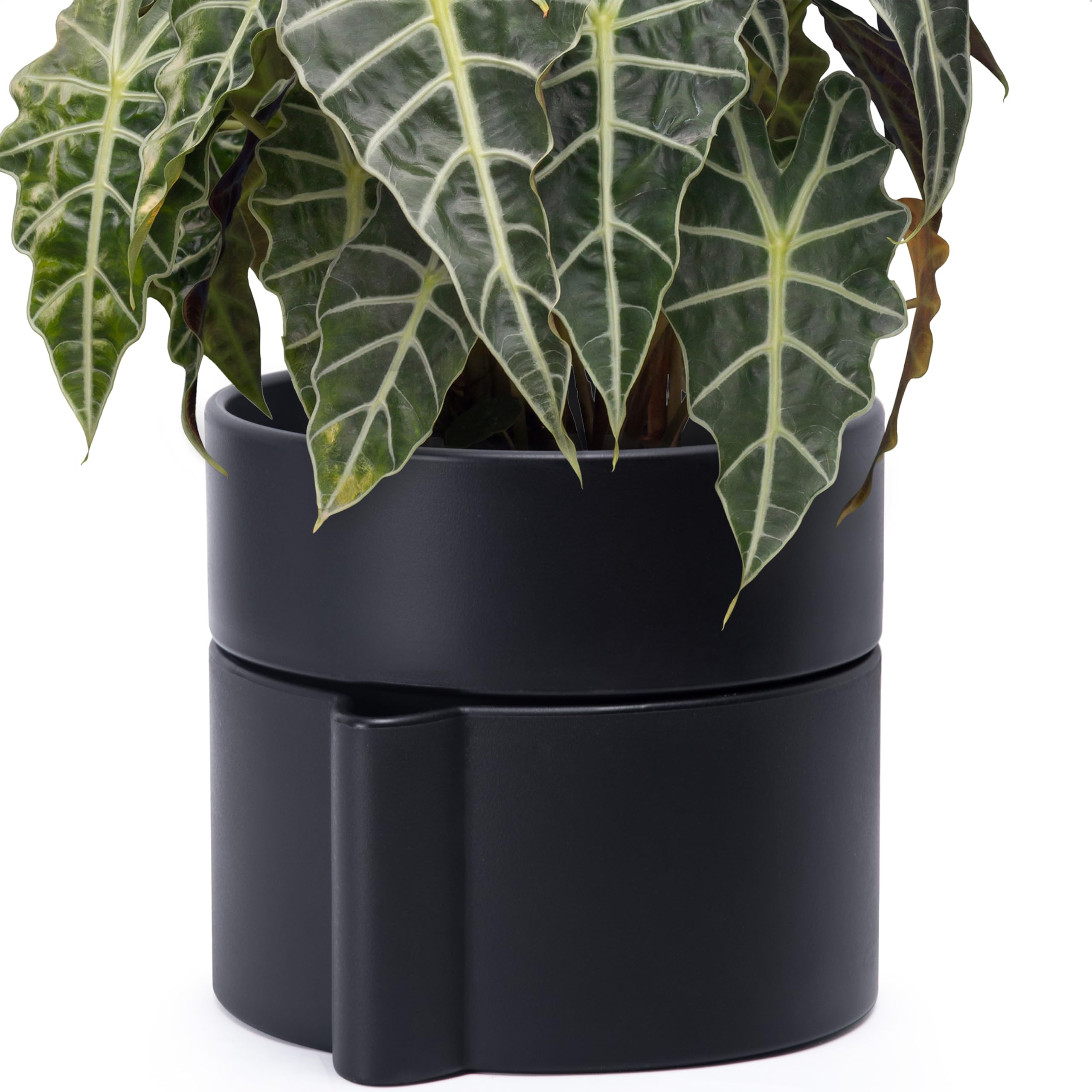 Phoenix Vine Samonawadniająca się doniczka na rośliny 20 cm, z wkładką z terakoty, głębokim zbiornikiem na wodę i ceramiczną, plastikową doniczką bez BPA, nowoczesna donica do roślin domowych, czarna