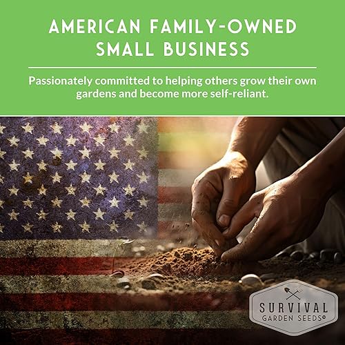 Miniatura 8 de Paquete de 3 semillas de mezcla de polinizador de abeja para plantar, paquete con instrucciones para cultivar flores anuales y perennes para