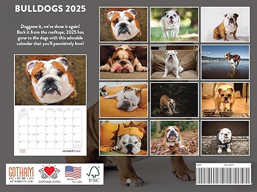 Vista 202 de Calendario Goldendoodle 2026 Golden Doodle mensual de pared calendario de 12 meses Fabricado en Estados Unidos